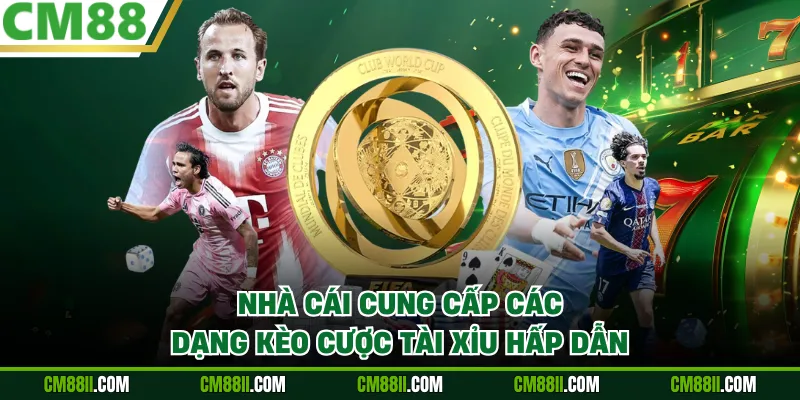 Nhà cái cung cấp các dạng kèo cược Tài Xỉu hấp dẫn