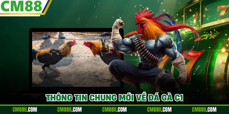 Thông tin chung mới về đá gà C1